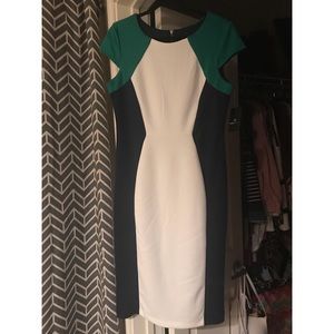 Color block fitted dress